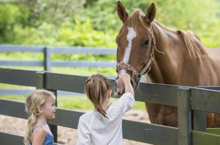 Lawton Stables