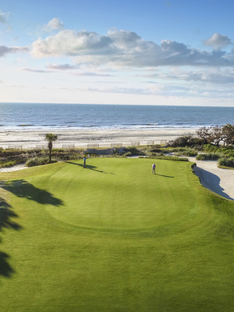 Aerial View golf lawn