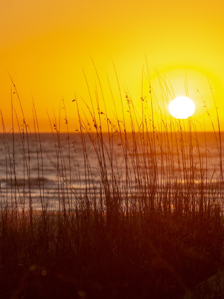 Sunset on a beach 