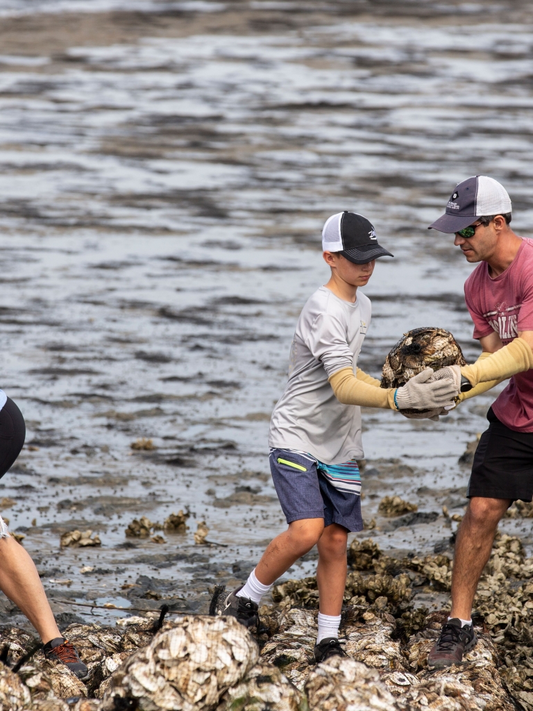 Group of people carrying oyster bags along the shore