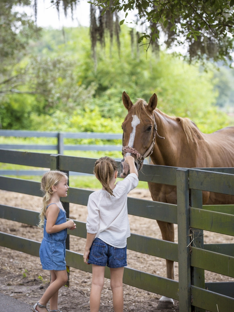 Kids petting a horse at lawton stables