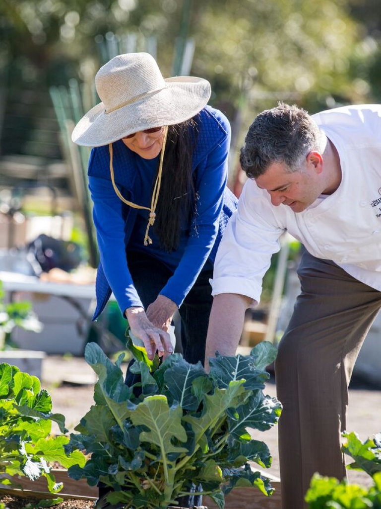 Chef picking vegetables