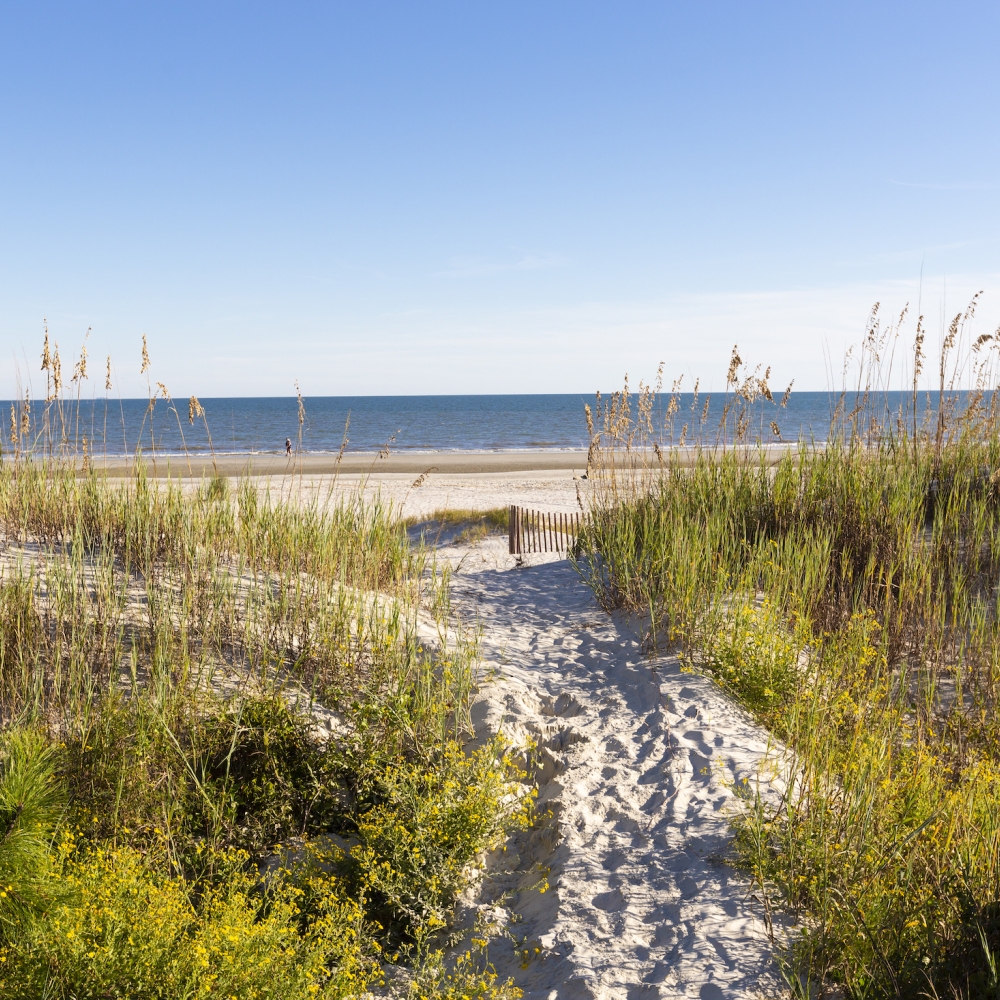 Path to the beach 