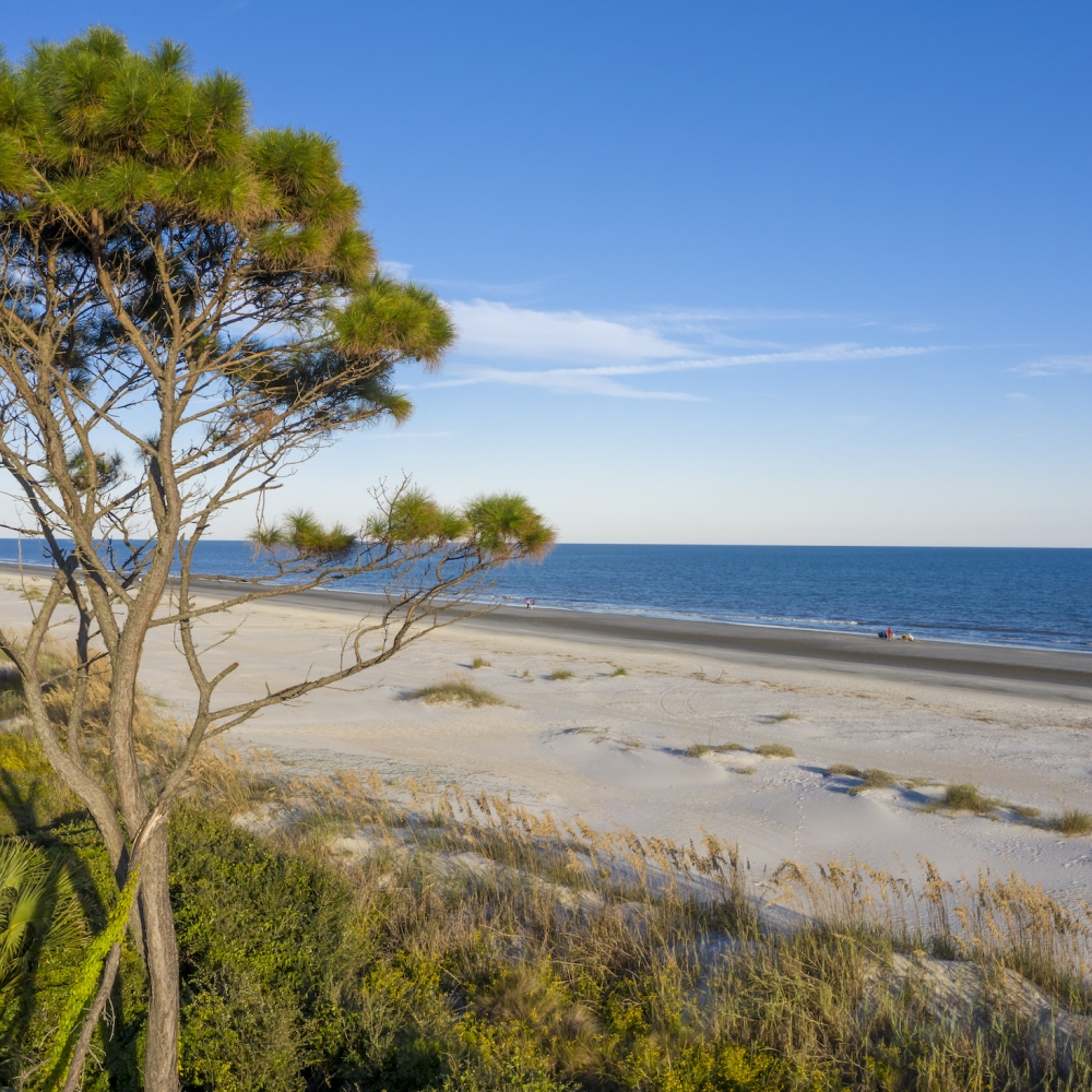 Beach at Sea Pines 